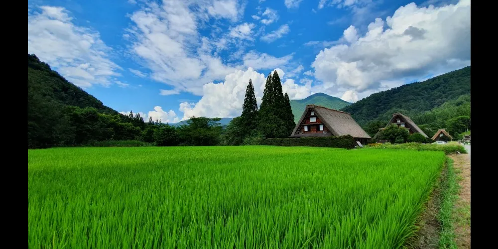 白川郷